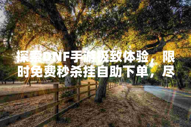 探索DNF手游极致体验，限时免费秒杀挂自助下单，尽享超低价优惠！