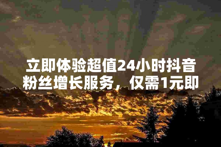 立即体验超值24小时抖音粉丝增长服务,仅需1元即可增加100真实粉丝,全网最低价自助下单平台等你来用!