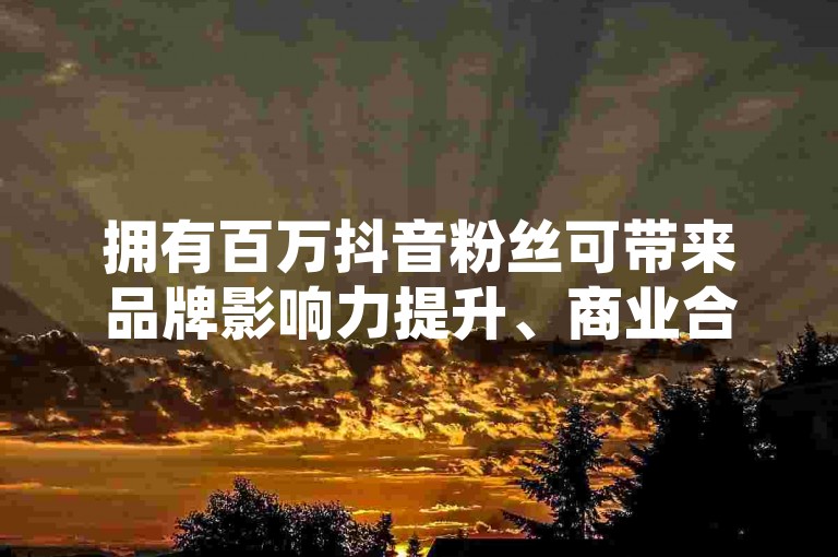 拥有百万抖音粉丝可带来品牌影响力提升、商业合作机会增多及个人收入显著增长等多重益处。