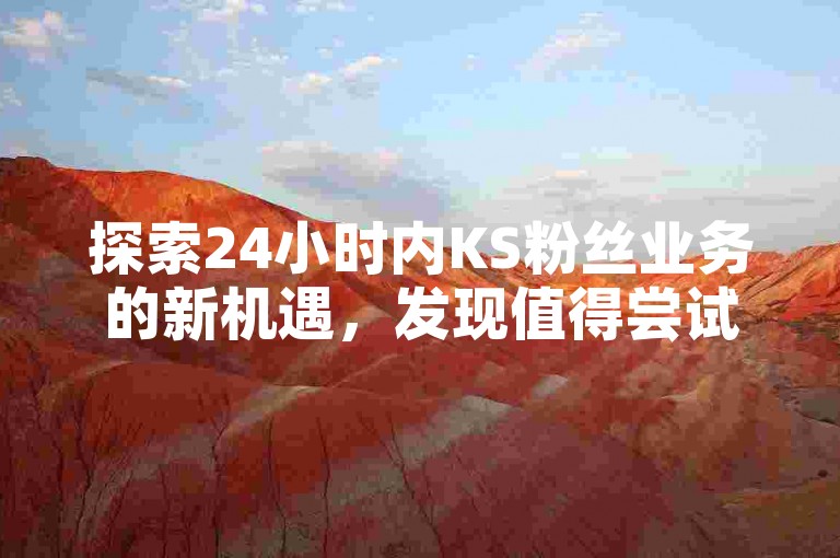 探索24小时内KS粉丝业务的新机遇,发现值得尝试的优质服务。