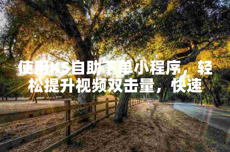 使用KS自助下单小程序，轻松提升视频双击量，快速增加KS平台的曝光度。