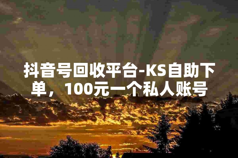 抖音号回收平台-KS自助下单，100元一个私人账号