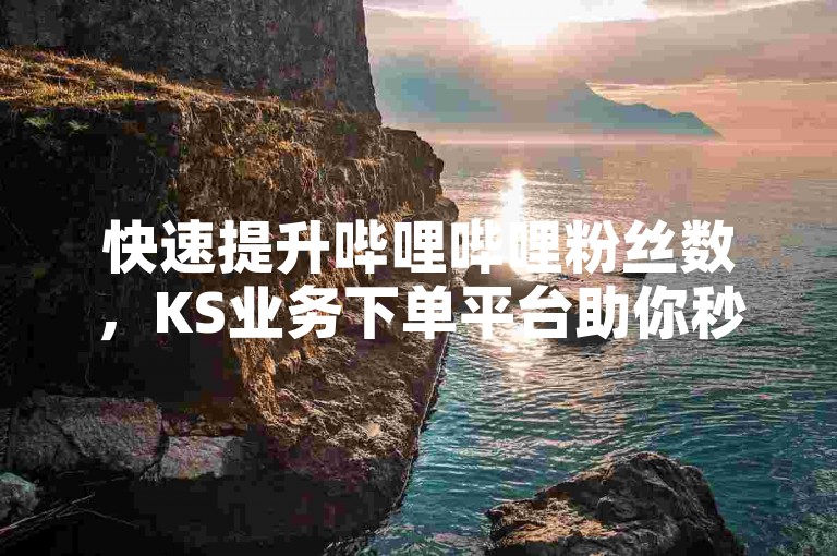 快速提升哔哩哔哩粉丝数，KS业务下单平台助你秒速达成目标。