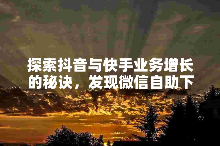 探索抖音与快手业务增长的秘诀，发现微信自助下单平台的超值福利，尽在专业网站。
