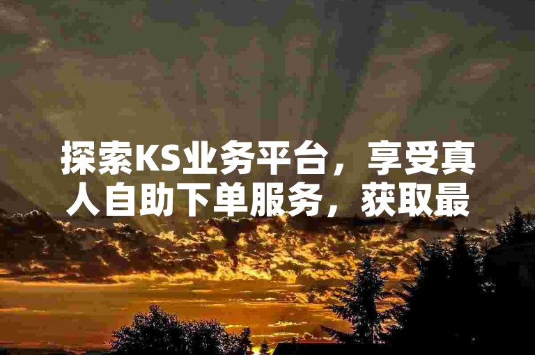 探索KS业务平台，享受真人自助下单服务，获取最低价的网站优惠。