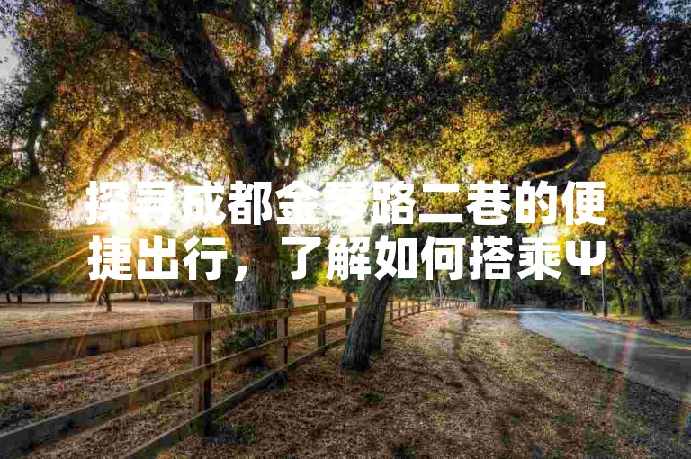探寻成都金琴路二巷的便捷出行，了解如何搭乘Ψ号线地铁，轻松实现自助下单。