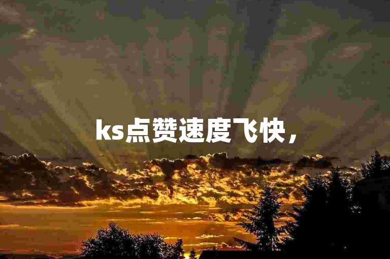 ks点赞速度飞快,5000赞仅需一秒,且为全网最实惠的卡盟服务。