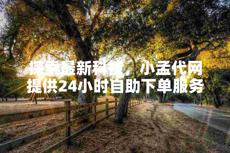 探索最新科技，小孟代网提供24小时自助下单服务，专业平台助你提升社交媒体影响力。