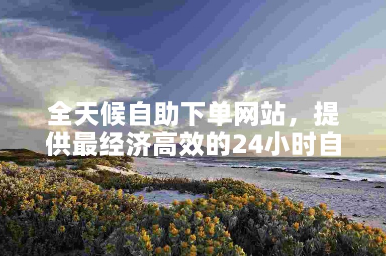 全天候自助下单网站，提供最经济高效的24小时自助服务软件下载。