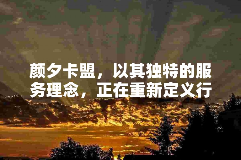颜夕卡盟，以其独特的服务理念，正在重新定义行业标准，引领市场新风尚。