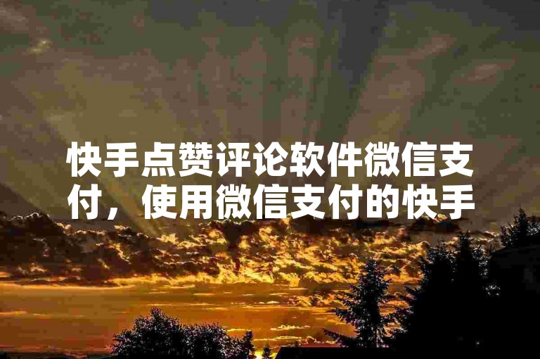 快手点赞评论软件微信支付，使用微信支付的快手点赞评论工具，轻松提升你的社交影响力。