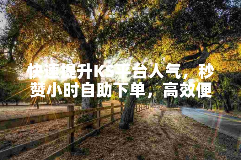 快速提升KS平台人气，秒赞小时自助下单，高效便捷，立即体验ks人气协议自助服务！