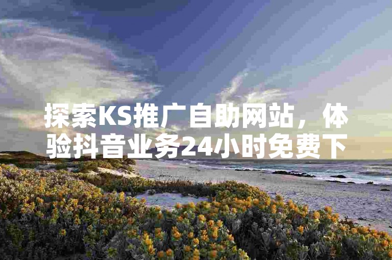 探索KS推广自助网站，体验抖音业务24小时免费下单的便捷平台。