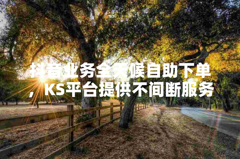 抖音业务全天候自助下单，KS平台提供不间断服务。
