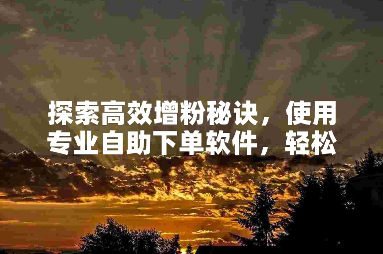 探索高效增粉秘诀，使用专业自助下单软件，轻松获取KS点赞与B站粉丝，助力您的社交媒体影响力飞跃。