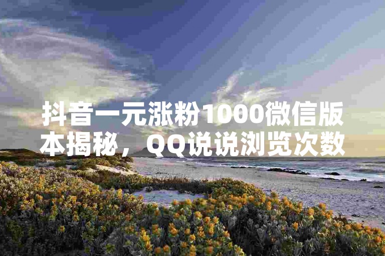 抖音一元涨粉1000微信版本揭秘，QQ说说浏览次数公开方法大公开！