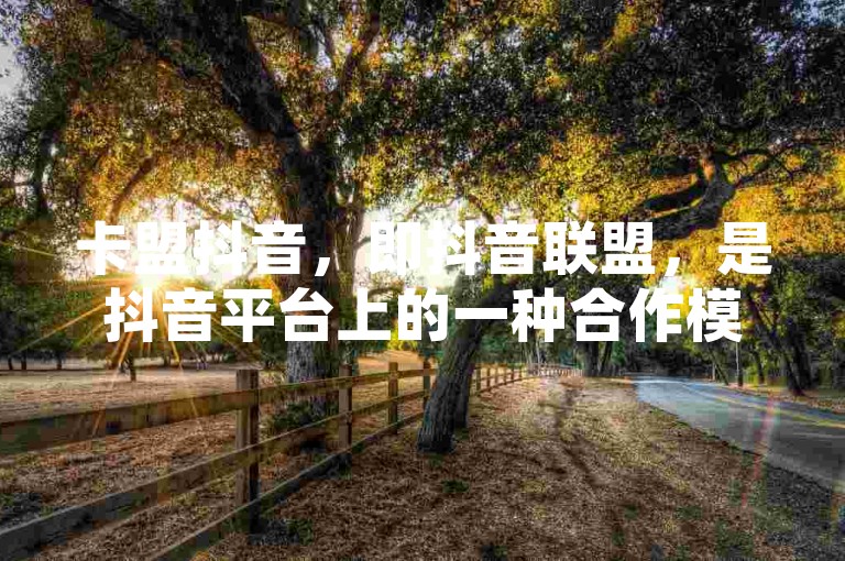 卡盟抖音，即抖音联盟，是抖音平台上的一种合作模式，通过这种模式，合作伙伴可以获得更多的资源和支持，从而提升自己的业务发展。