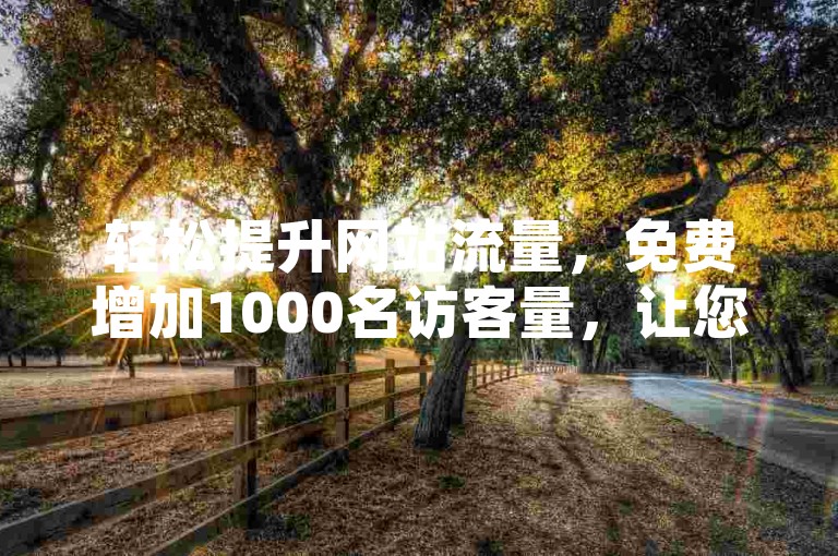 轻松提升网站流量，免费增加1000名访客量，让您的网站瞬间爆红！