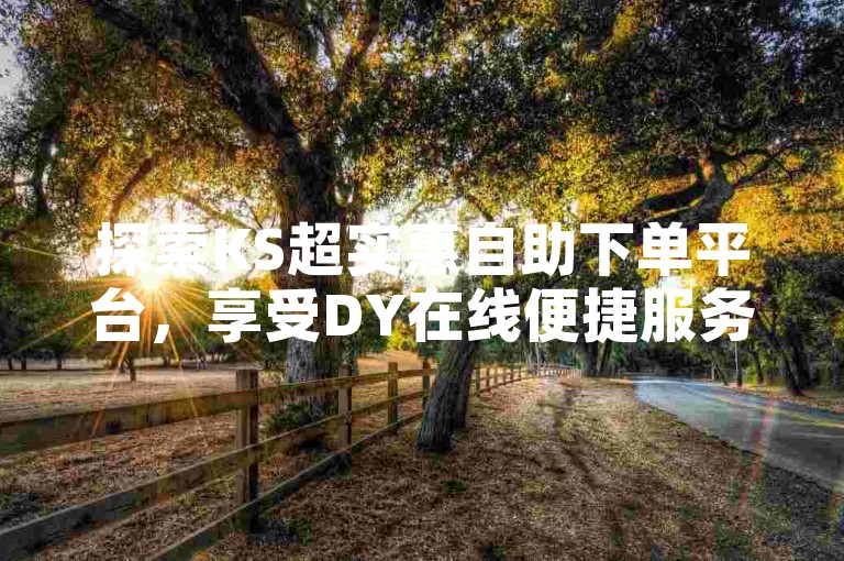 探索KS超实惠自助下单平台，享受DY在线便捷服务。
