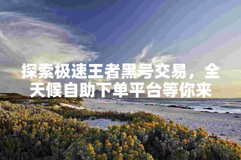探索极速王者黑号交易,全天候自助下单平台等你来体验。