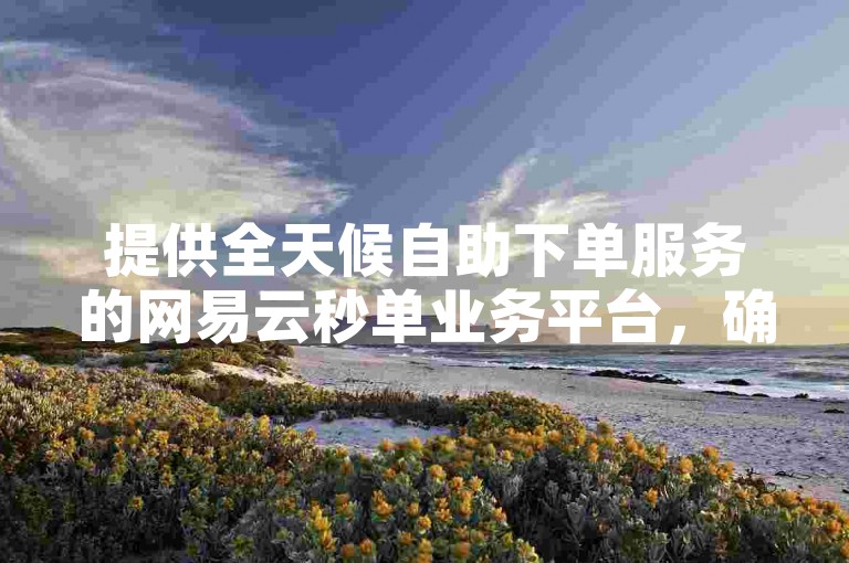 提供全天候自助下单服务的网易云秒单业务平台，确保您随时随地高效完成业务操作。