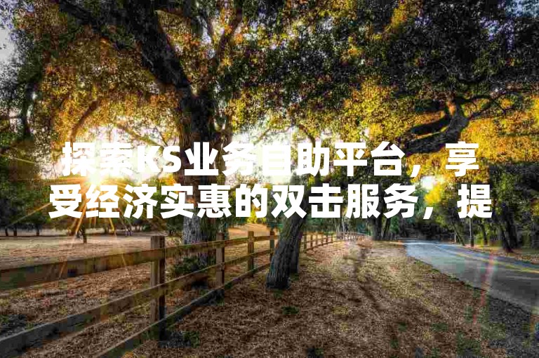 探索KS业务自助平台，享受经济实惠的双击服务，提升您的社交媒体影响力。
