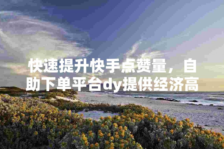 快速提升快手点赞量，自助下单平台dy提供经济高效的推广服务。