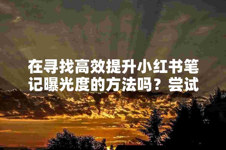 在寻找高效提升小红书笔记曝光度的方法吗？尝试我们的专业服务，轻松获得快手1000个赞和播放量，助力内容迅速走红！