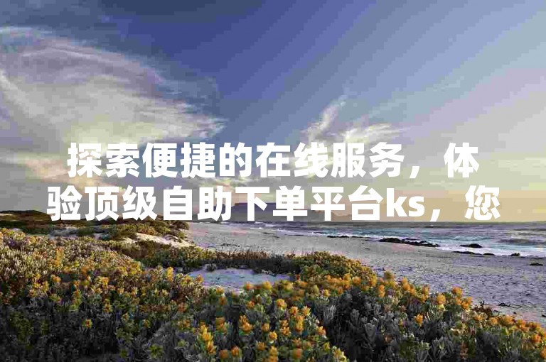 探索便捷的在线服务，体验顶级自助下单平台ks，您的免费业务自助伙伴。