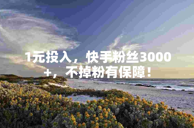 1元投入，快手粉丝3000+，不掉粉有保障！