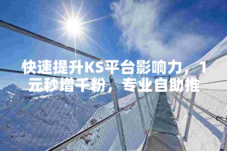 快速提升KS平台影响力，1元秒增千粉，专业自助推广网站助力您的账号飞速成长！