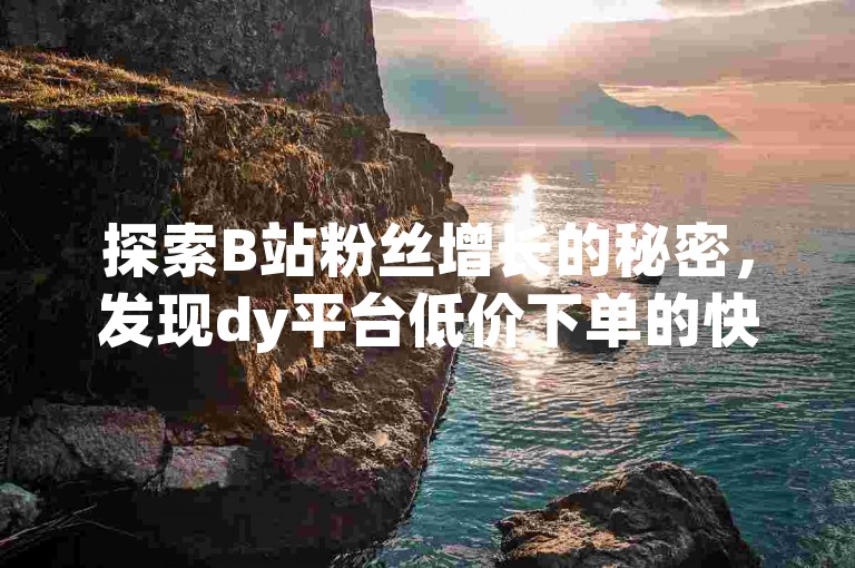 探索B站粉丝增长的秘密，发现dy平台低价下单的快速通道。