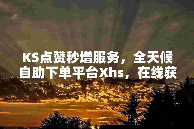 KS点赞秒增服务，全天候自助下单平台Xhs，在线获取最低价快速双击。