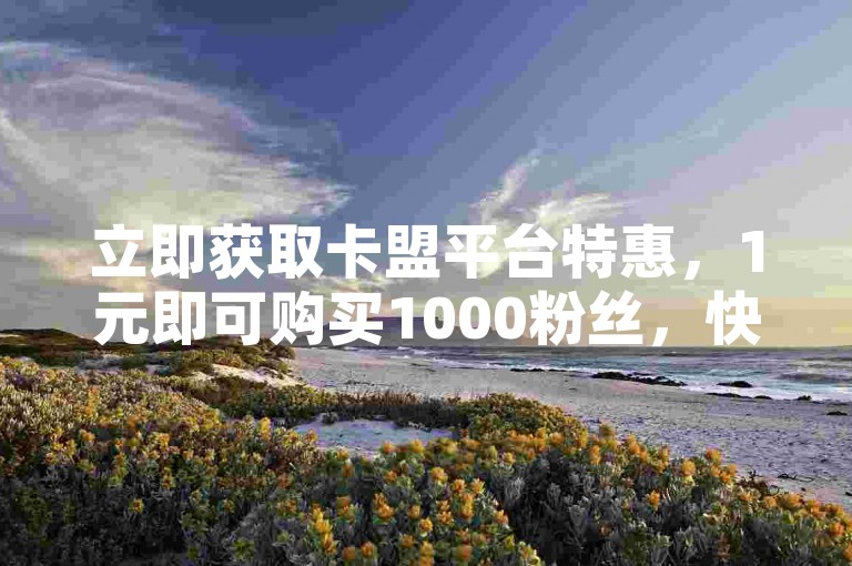立即获取卡盟平台特惠，1元即可购买1000粉丝，快速提升您的社交媒体影响力！