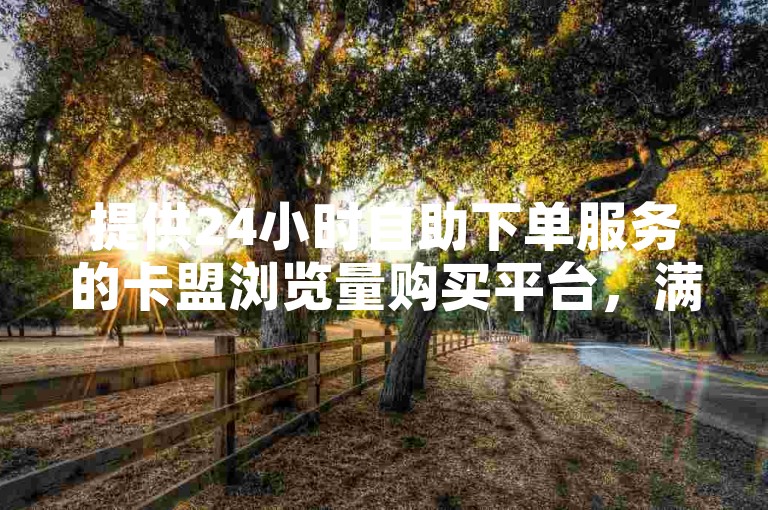 提供24小时自助下单服务的卡盟浏览量购买平台，满足您随时提升网站流量的需求。