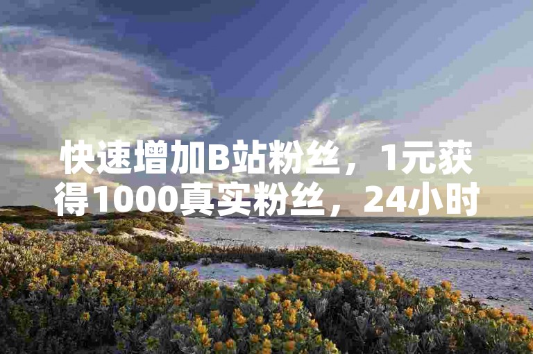 快速增加B站粉丝，1元获得1000真实粉丝，24小时自助下单平台，提升你的社交媒体影响力。