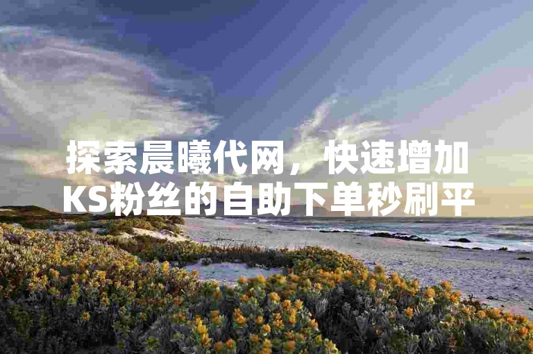 探索晨曦代网，快速增加KS粉丝的自助下单秒刷平台，助您社交媒体影响力飙升。