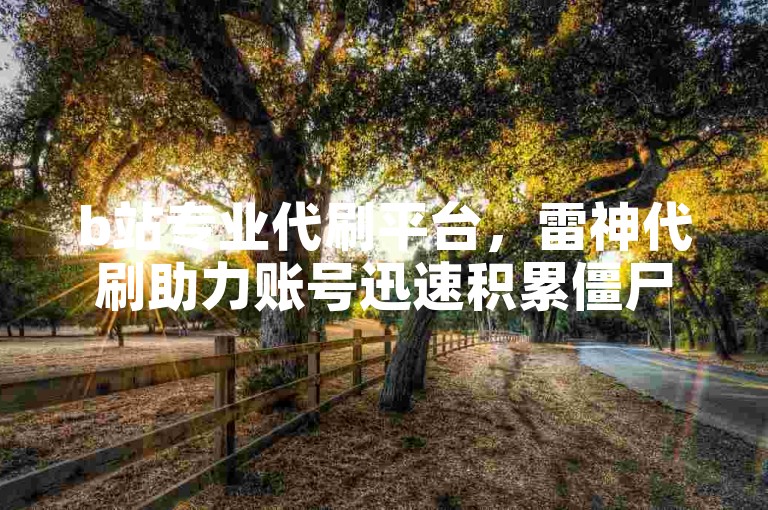 b站专业代刷平台，雷神代刷助力账号迅速积累僵尸粉，提升人气热度。