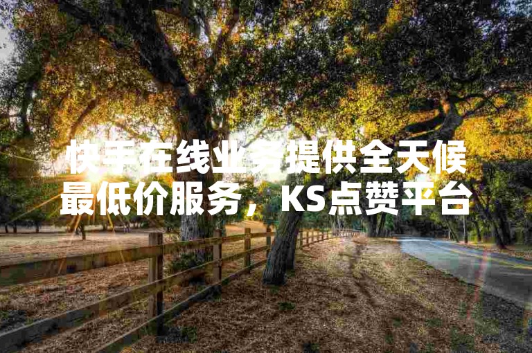 快手在线业务提供全天候最低价服务，KS点赞平台助力账号快速成长。