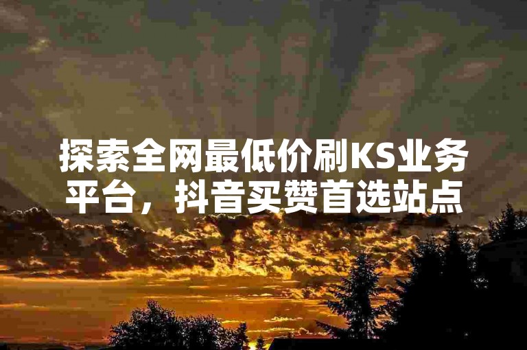 探索全网最低价刷KS业务平台，抖音买赞首选站点！