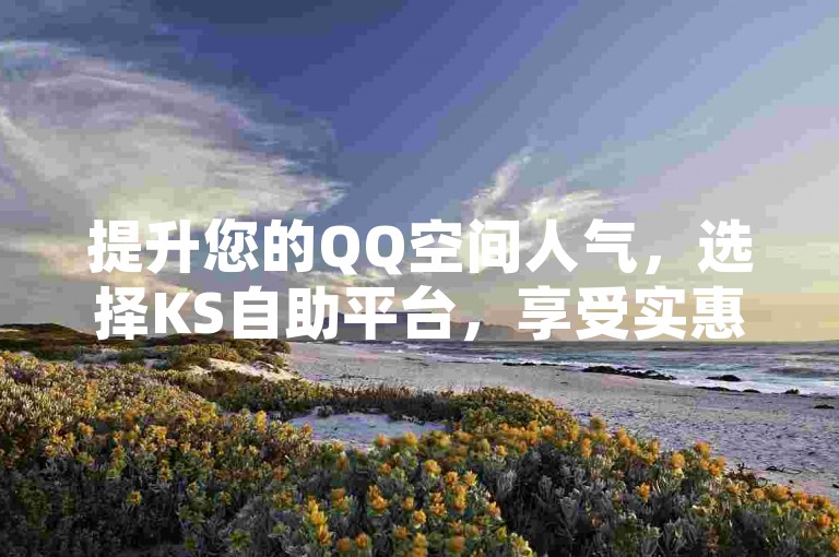 提升您的QQ空间人气，选择KS自助平台，享受实惠的访客量增长服务。