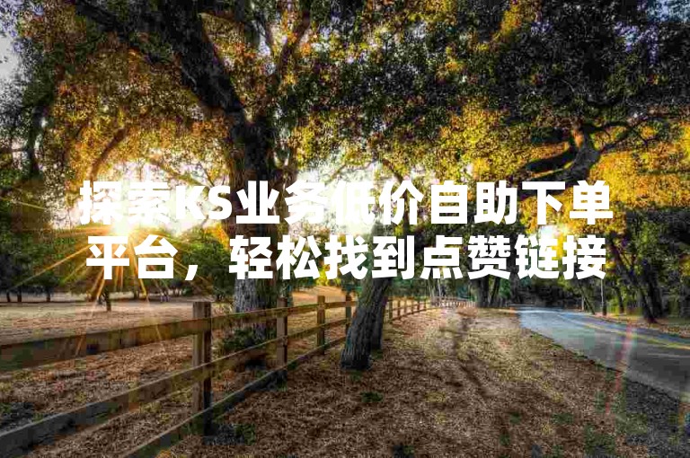 探索KS业务低价自助下单平台，轻松找到点赞链接入口，快速提升您的网络影响力。