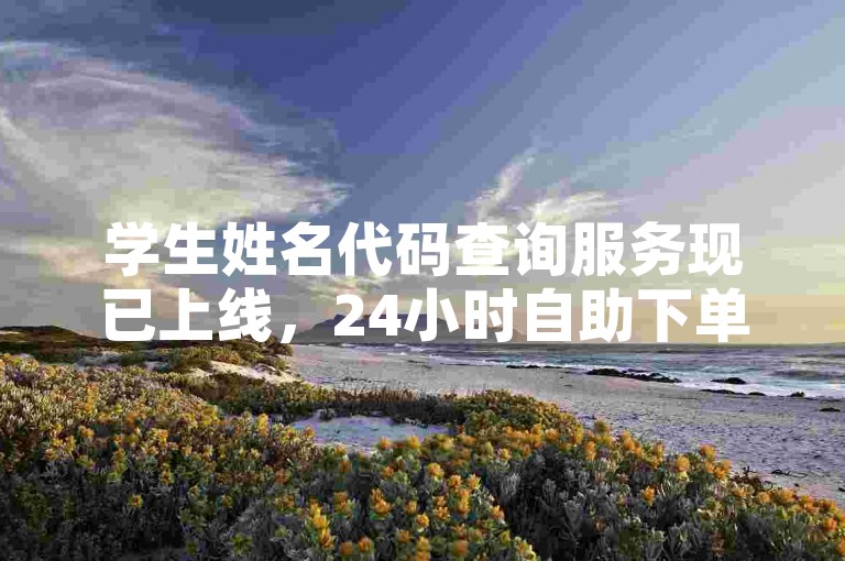 学生姓名代码查询服务现已上线，24小时自助下单平台随时为您服务。