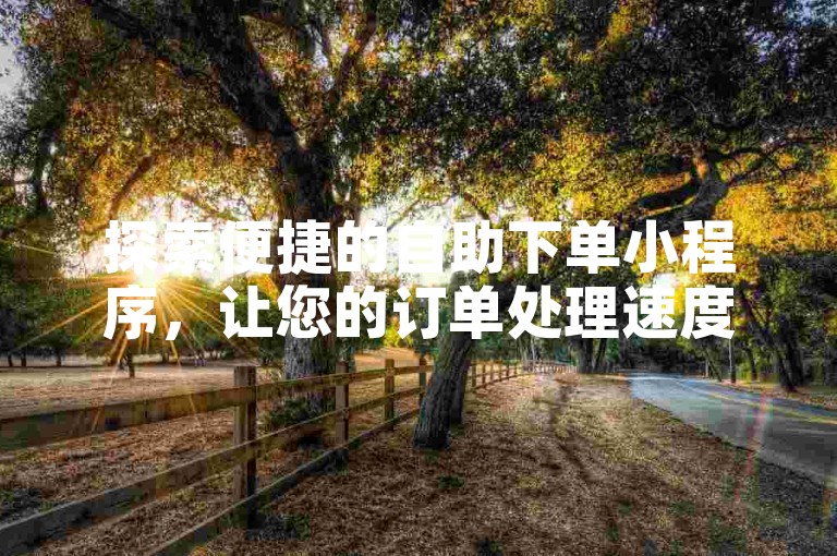 探索便捷的自助下单小程序,让您的订单处理速度飞跃提升。