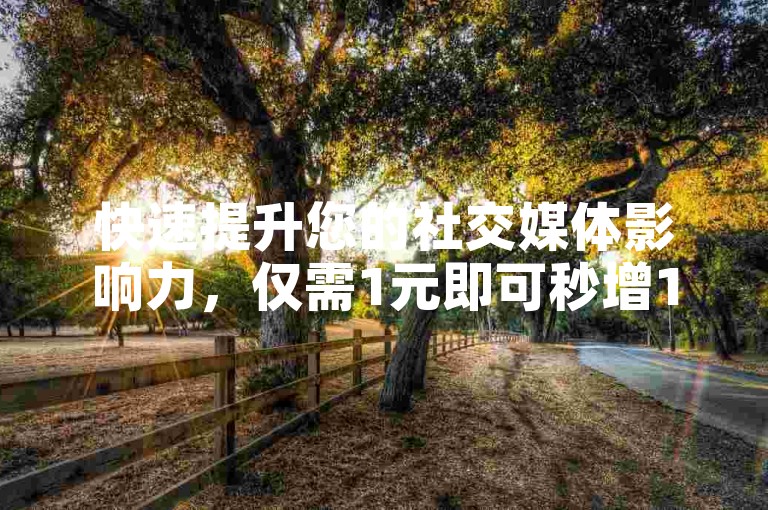 快速提升您的社交媒体影响力，仅需1元即可秒增1000粉丝，赞赞自助下单平台助您轻松达成目标。