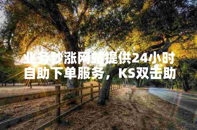 业务秒涨网站提供24小时自助下单服务，KS双击助力提升互动热度。