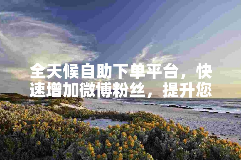 全天候自助下单平台，快速增加微博粉丝，提升您的社交媒体影响力。