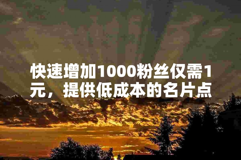 快速增加1000粉丝仅需1元,提供低成本的名片点赞服务。