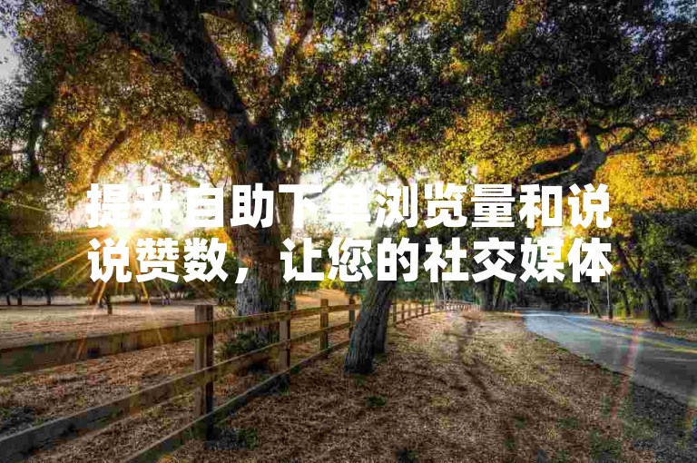 提升自助下单浏览量和说说赞数，让您的社交媒体内容更受欢迎，吸引更多目标受众的关注与互动。