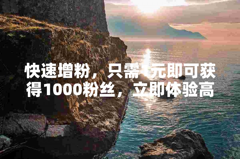 快速增粉，只需1元即可获得1000粉丝，立即体验高效的粉丝增长服务！